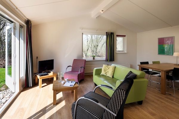 Woonkamer - Chique verblijf bij de heidevelden in Ruinen (4)