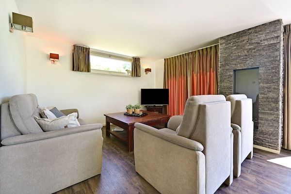 Woonkamer - Chalet in Reutum met Sauna en Natuur in Reutum-Weerselo (1)