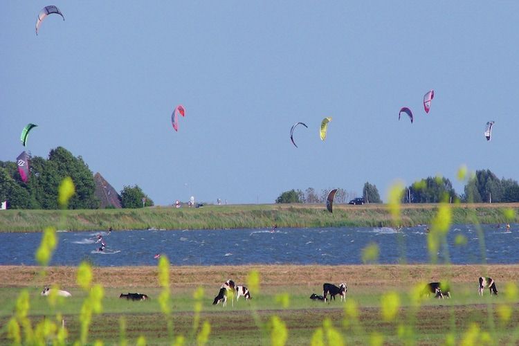 Opvakantiebijdeboer in Schellinkhout - Foto 22 van 27