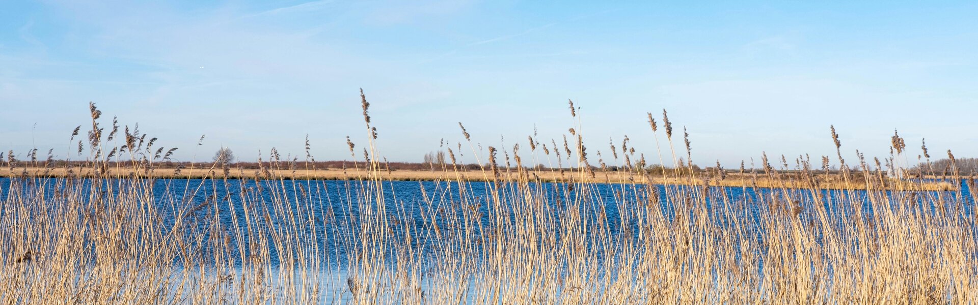 Flevoland