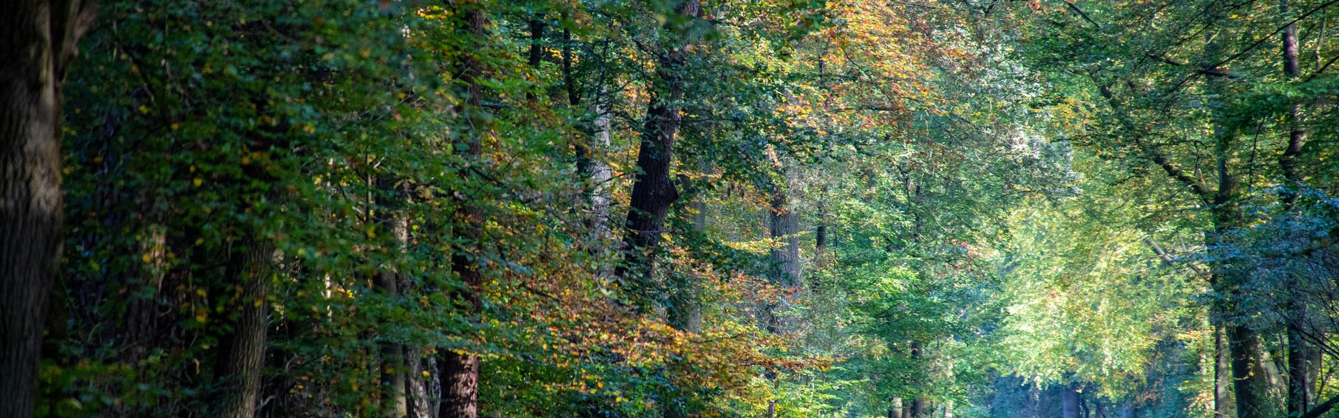 Gelderland, Gelderland